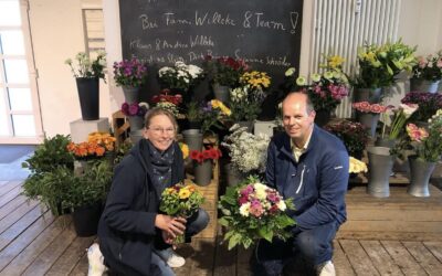 Neuer Blumenladen in Bad Arolsen